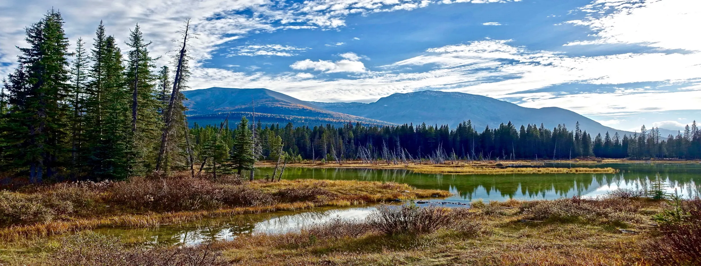 Image for Serene Wilderness